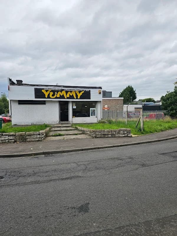 Yummy Chinese Takeaway Giffnock - Thumbnail 3